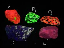 Lot Of 5 UV Fluorescent Minerals Rock (L) picture