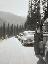 AxF) Found Photograph Old Cars Roadside Artistic 1940s-50's Tall Pine Trees picture