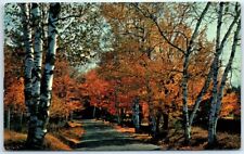 Postcard - Golden Woodland Drive - Greetings from Stratford, New York picture