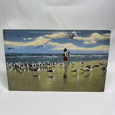 Feeding Sea Gulls Seagulls Daytona Beach Florida FL Postcard Linen 1940s  picture