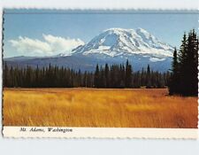 Postcard Mt. Adams Washington USA picture