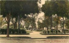 Rochester New York~Franklin Square~Kids on Park Path~Homes Thru Trees~1908 picture