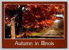 Autumn In Illinois Vintage Unposted Postcard picture