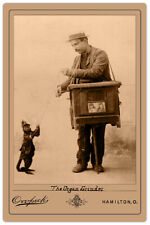 ORGAN GRINDER & MONKEY 1892 Vintage Photograph A++ Reprint Cabinet Card CDV  picture