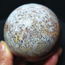 TOP 520g Natural Polished Mexico Banded Agate Crystal Sphere Ball Healing  A2268 picture
