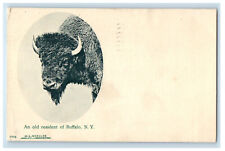 1908 Buffalo Picture, An Old Resident of Buffalo NY HL Woehler Posted Postcard picture