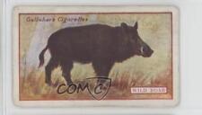 1921 Gallaher Animals & Birds of Commercial Value Tobacco Wild Boar #81 a8x picture