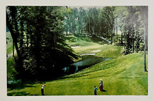 1960s Golden Horseshoe Golf Course Woods Williamsburg Virginia Vintage Postcard picture