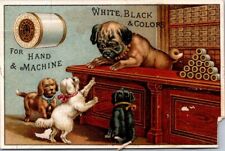 J P Coats Anthropomorphic Dog Store Counter Customers Thread Shop Keeper A HQV1 picture