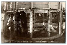 c1910's Bears Interlaken Inn Fairmont Minnesota MN RPPC Photo Antique Postcard picture