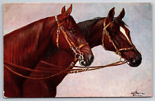 Antique Postcard Beautiful Pair Of Bridled Horses A16 picture