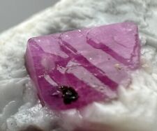 155 Carats Terminated Natural Red Ruby Crystal On Matrix. picture