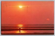 Cape Cod, Massachusetts - Tranquility and Solitude at Sunset - Vintage Postcard picture