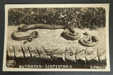 Butantan Serpentario San Paulo Snakes Coiled Up VTG Postcard RPPC Black & White picture
