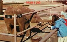 Asiatic Elephant Petley Papago Park Phoenix Zoo Postcard 20-12572 picture