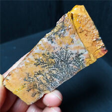 RARE 55g Natural polishing Grass flower Agate Crystal Flat Healing  A3730 picture