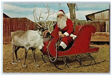 c1960s Santa Reindeer at Santa's Summer Home Estes Park Colorado CO Postcard picture