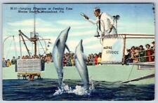 1950 MARINELAND STUDIOS FLORIDA PORPOISES FEEDING TIME VINTAGE LINEN POSTCARD picture