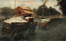 COTTON GIN & HORSE CARRIAGES MARION ALABAMA POSTCARD (c. 1910) picture