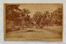 Lover's Lane, Mandeville, Louisiana Vintage Postcard Posted picture