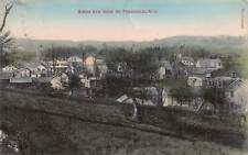 J83/ Freehold New York Postcard c1910 Birdseye View Homes  318 picture