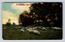 Ulysses PA-Pennsylvania, General Greeting, Sheep, Antique Vintage Postcard picture