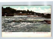 Livermore Falls ME, Scenic Androscoggin River, Homes, Maine Vintage Postcard picture