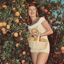Vtg. 1950's California Gold Orange Orchard Postcard Redhead Pinup Girl Sexy Lady picture