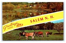 Postcard Greetings from Salem NH farm cattle L15 picture