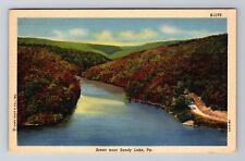 Sandy Lake PA-Pennsylvania, Scene near Sandy Lake, Antique Vintage Postcard picture