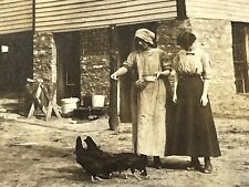 i7 Photograph 1915 Young Women Wearing Bonnets Feeding Chickens  picture