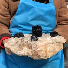 12.76LB Natural black tourmaline and quartzite symbiotic mineral specimen picture