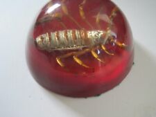 Vintage Scorpion Paperweight picture