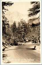 1930s Vintage RRPC Real Photo Postcard Castle Craigs Pacific Highway California  picture