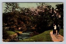 Cleveland OH-Ohio, Doan Brook At Wade Park, Antique, Vintage c1910 Postcard picture
