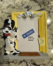 Warner Bros. Just Married Picture Frame honeymoon Pepe Le Pew Wedding Newlyweds picture
