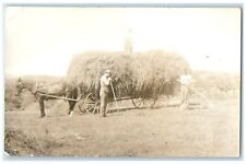 c1950's Hay Horse And Wagon Farming Field RPPC Photo Unposted Vintage Postcard picture
