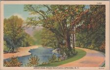 Postcard Greetings from Sanitaria Springs NY #3 picture