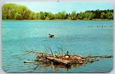 Kellogg Bird Sanctuary, Augusta, Michigan - Postcard picture