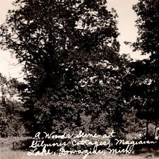 c1924 RPPC Woods Gilmores Cottages Magician Lake Dowagiac Michigan Real Photo picture
