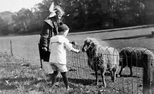 c.1900s SAN FRANCISCO~YOUNG CHILDREN FEEDING SHEEP in GOLDEN GATE PARK~NEGATIVE picture