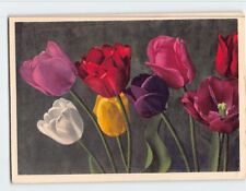 Postcard Tulips picture