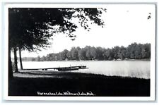 1948 Horseshoe Lake View Whitmore Lake Michigan MI RPPC Photo Vintage Postcard picture