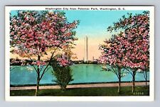Washington DC, Washington City, Potomac Park, Antique Vintage Souvenir Postcard picture