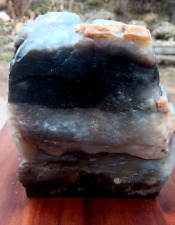 7 1/4 Lb Smokey Quartz Petrified Wood Limb Casting W Yellow & Red Mineralization picture