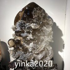 242LB Top Rare Large Natural Rutilated smoky Quartz dragon Carved Quartz crystal picture