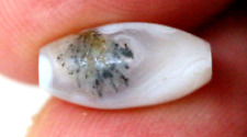 Ancient White Agate Bactrian Empire SulimanI Chalcedony Bead 13mm #A440 picture