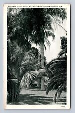 Tarpon Springs FL-Florida, Hotel Villa Plumosa, Advertising, Vintage Postcard picture