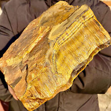 10.4LB Large Golden Tiger'S Eye Rock Quartz Crystal Mineral Specimen Metaphysics picture