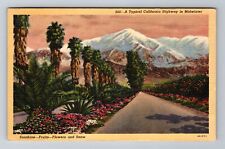 A Typical California Highway In Midwinter, Antique, Vintage Postcard picture